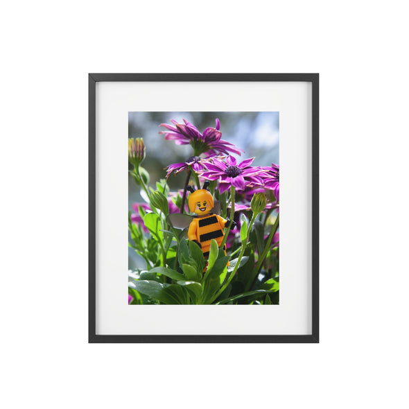 Bumble - Framed Matte Print